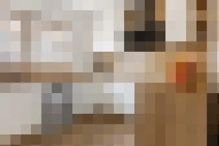 Schaepmanstraat 4 Venlo thumbnail 4