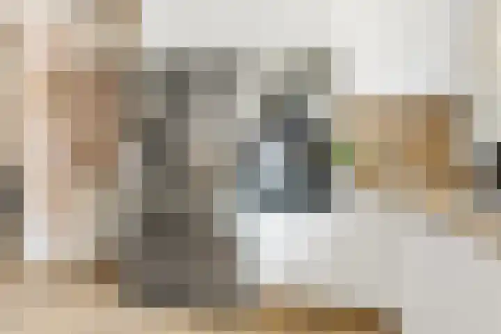 Schaepmanstraat 4 Venlo thumbnail 5