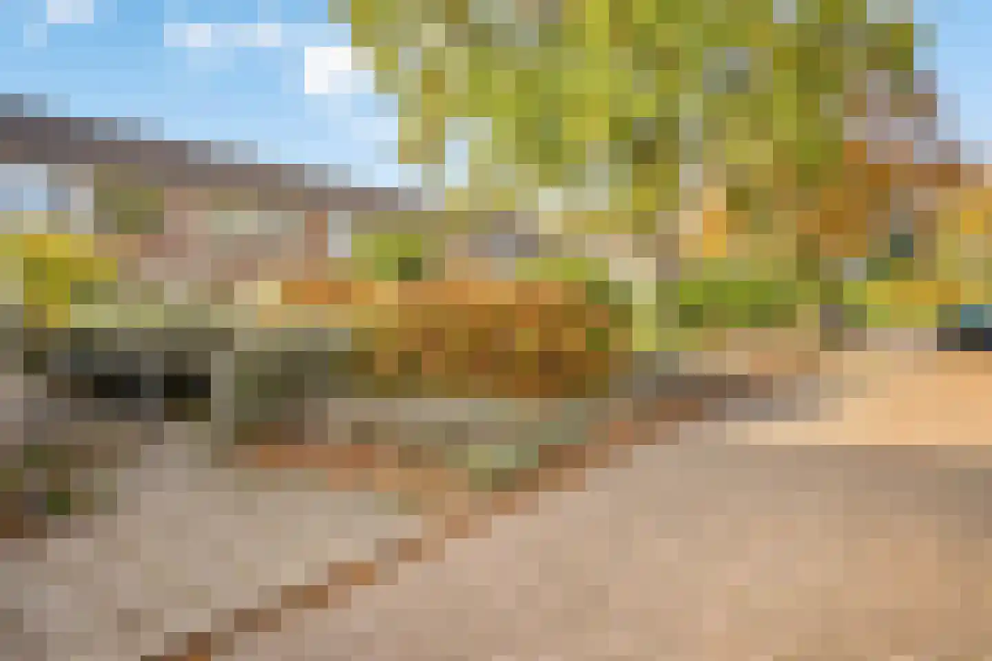 Schaepmanstraat 42 Groenlo thumbnail 33