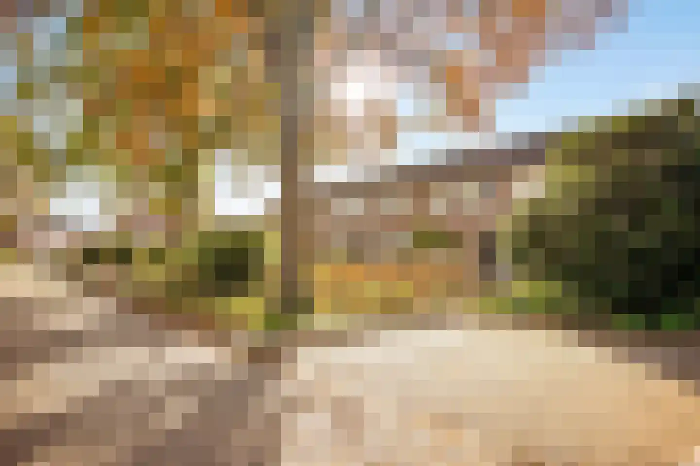 Schaepmanstraat 42 Groenlo thumbnail 34