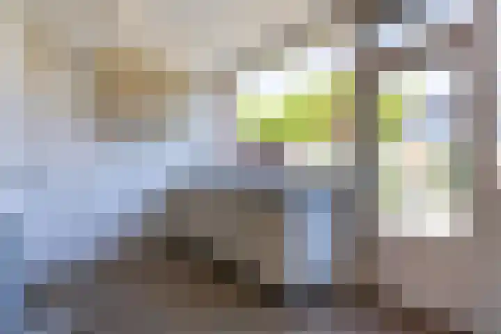 Schaepmanstraat 42 Hoogezand thumbnail 5