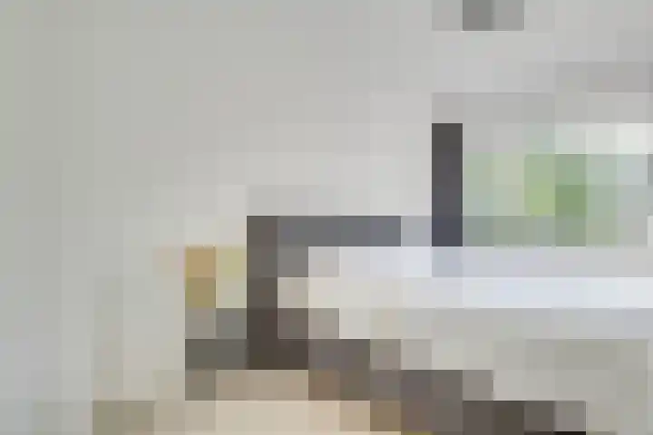 Schaepmanstraat 46 Maarssen thumbnail 18