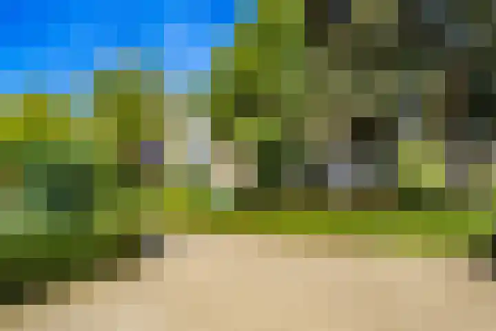 Schaepmanstraat 46 Maarssen thumbnail 33