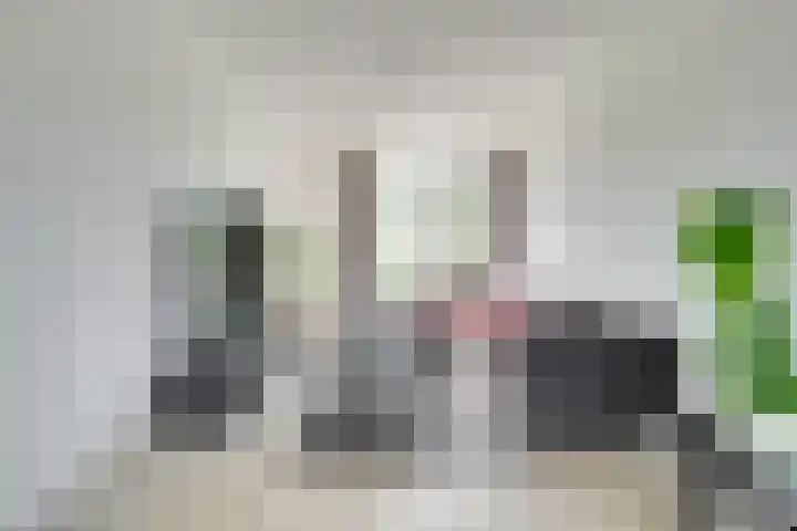 Schaepmanstraat 46 Maarssen thumbnail 7