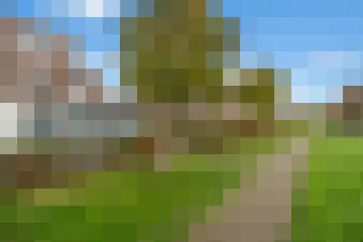 Schaepmanstraat 47 IJsselstein thumbnail 40