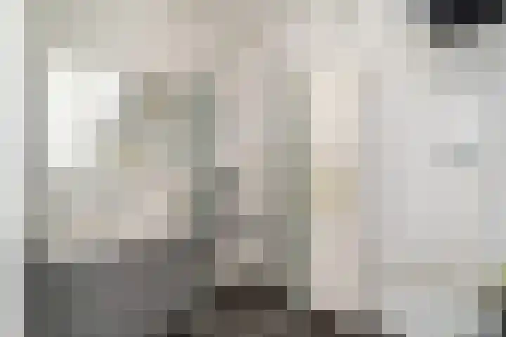 Schaepmanstraat 58 Rotterdam thumbnail 34