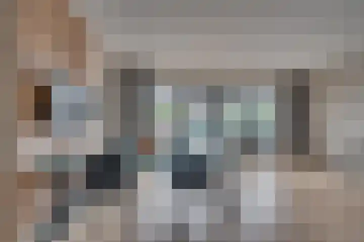 Schaepmanstraat 58 Venlo thumbnail 18