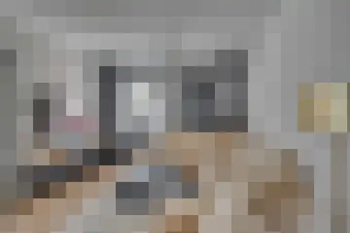 Schaepmanstraat 58 Venlo thumbnail 6