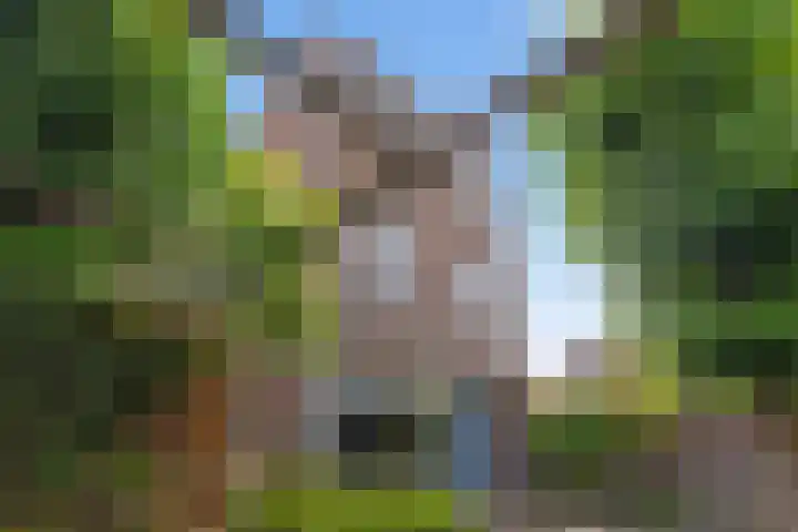 Schaepmanstraat 6 IJsselstein thumbnail 4