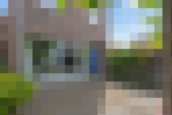 Schaepmanstraat 6 IJsselstein thumbnail 60