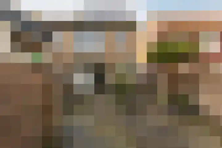 Schaepmanstraat 6 Moordrecht thumbnail 5