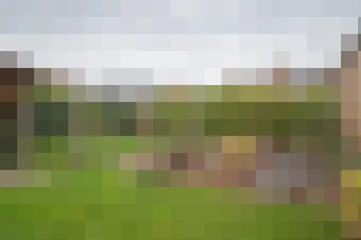 Schaepmanstraat 60 Hoogezand thumbnail 16