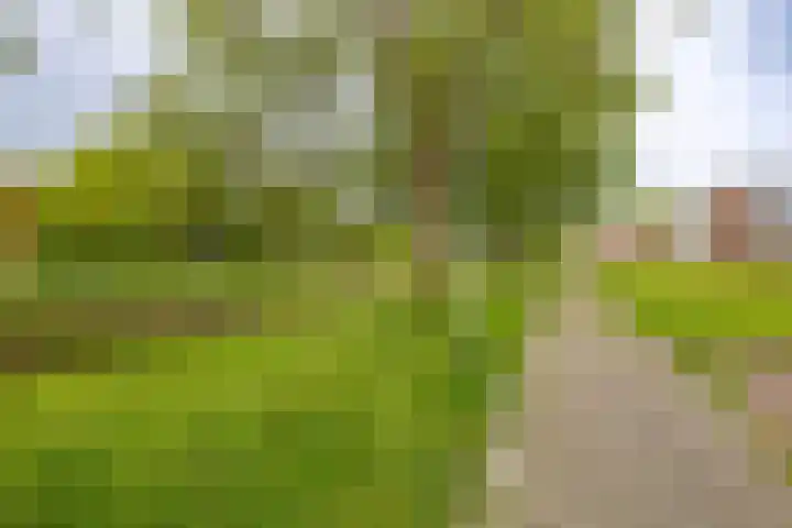 Schaepmanstraat 60 Hoogezand thumbnail 20