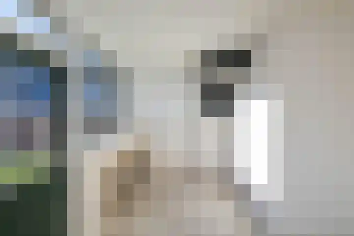 Schaepmanstraat 60 Hoogezand thumbnail 4