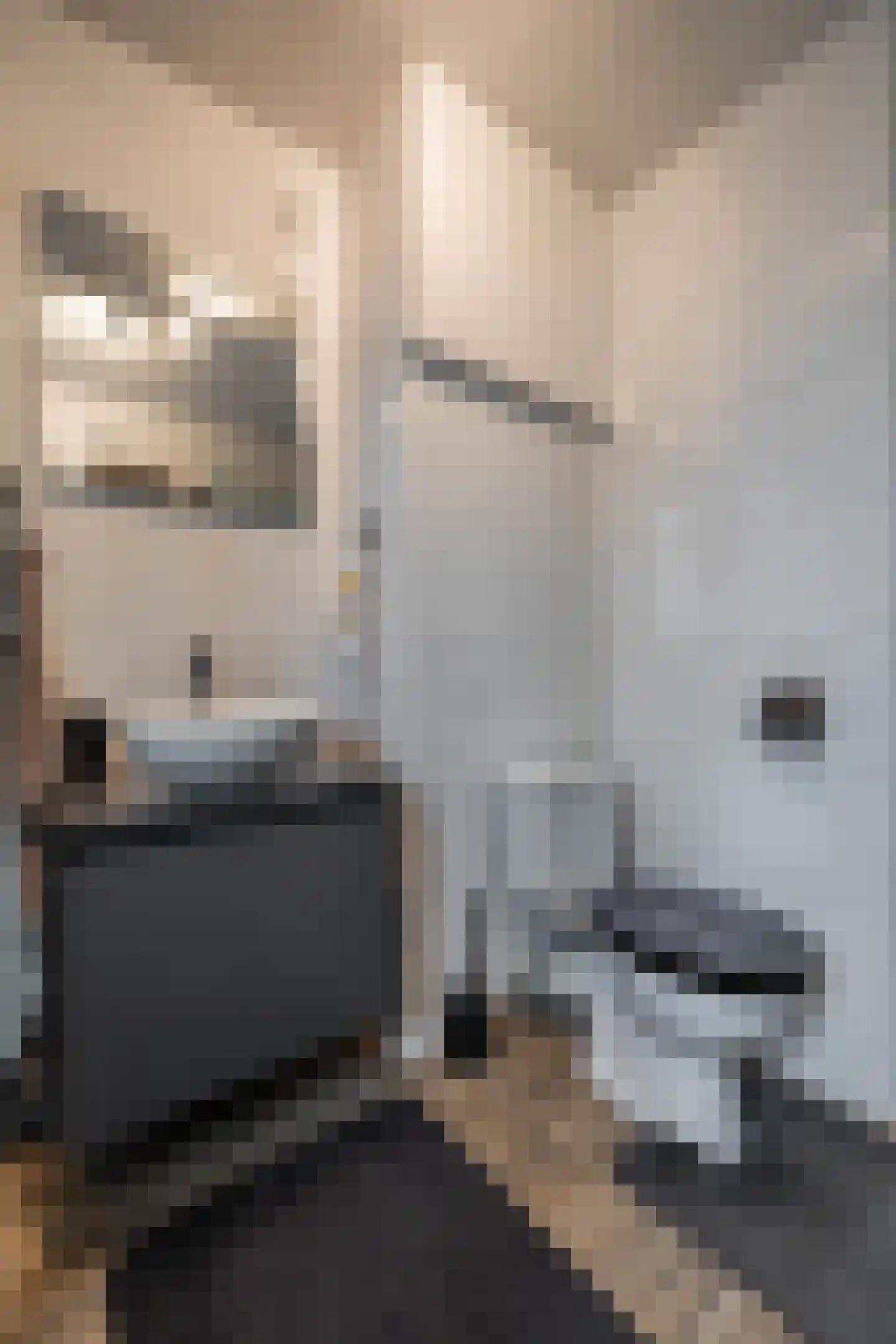 Schaepmanstraat 86 Hoogezand thumbnail 28