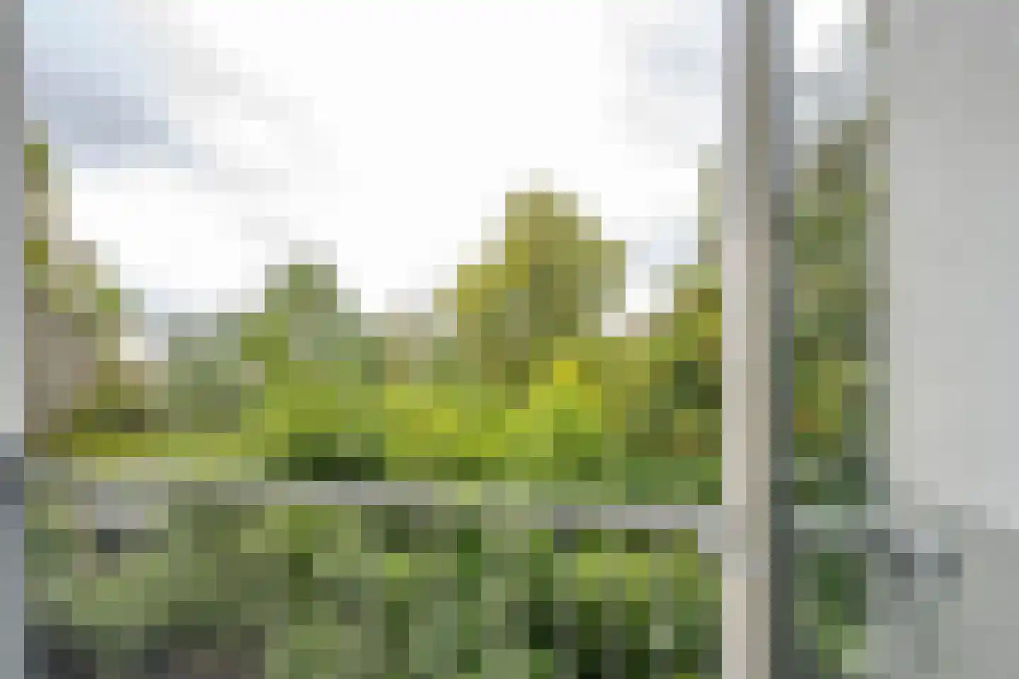 Schaepmanstraat 9 A 02 Rotterdam thumbnail 14