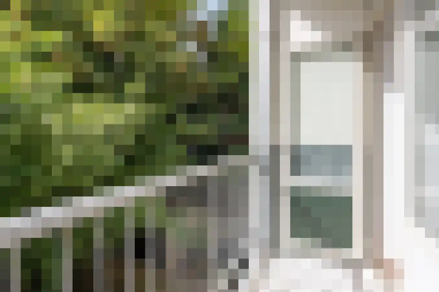 Schaepmanstraat 9 B Rotterdam thumbnail 25