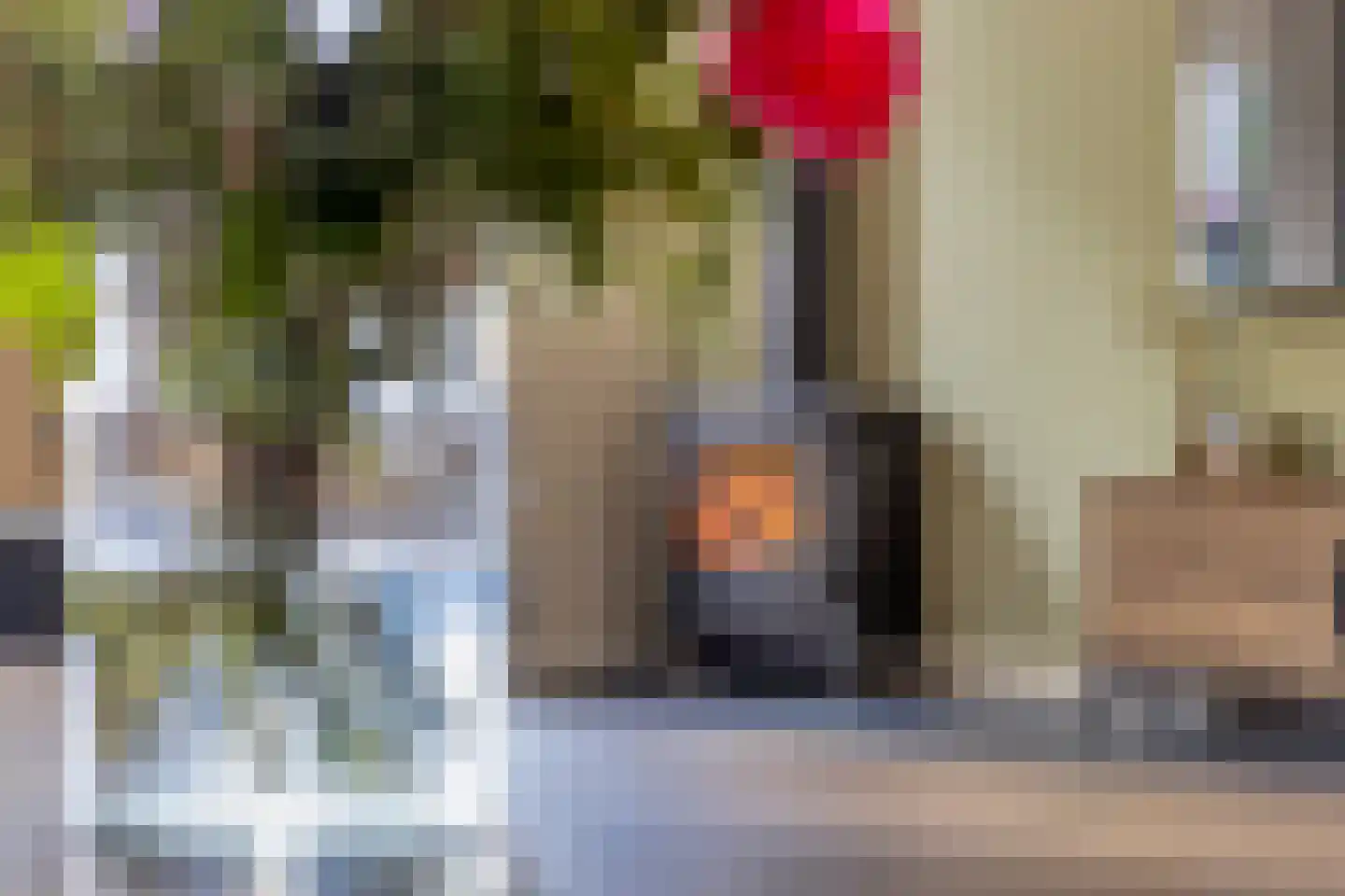 Schaepmanstraat 9 Lunteren thumbnail 10