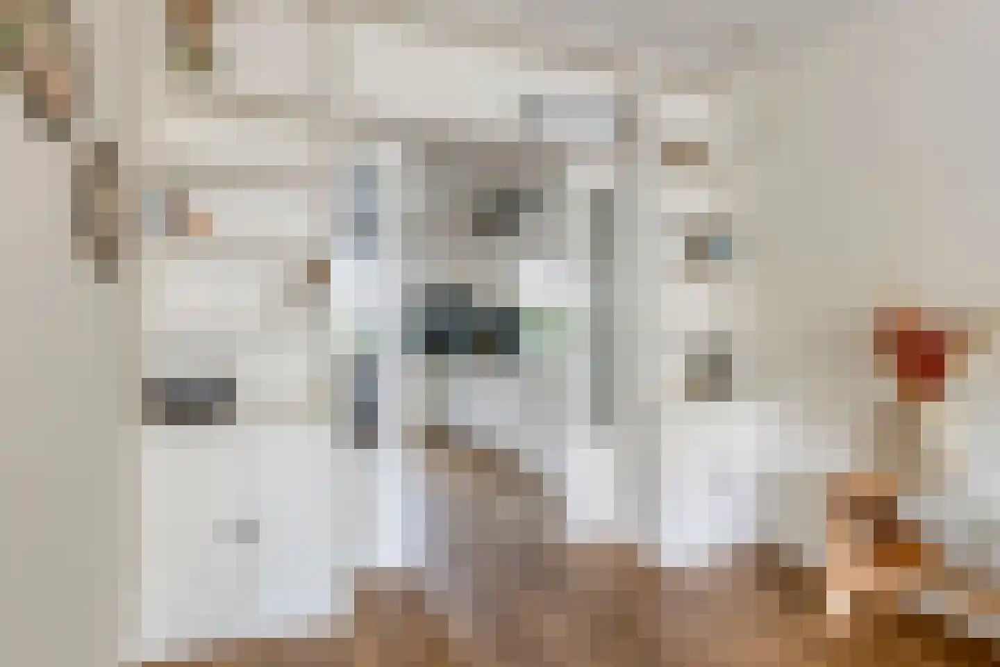 Schaepmanstraat 9 Lunteren thumbnail 13