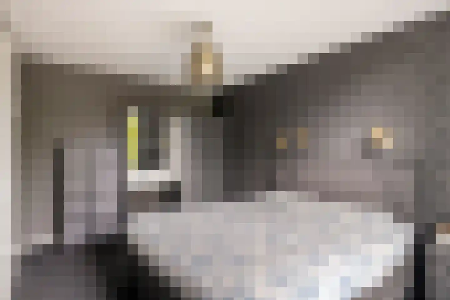 Schaepmanstraat 9 Lunteren thumbnail 21