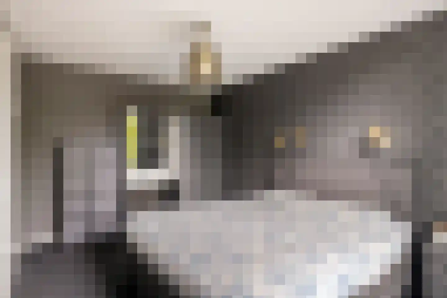Schaepmanstraat 9 Lunteren thumbnail 22
