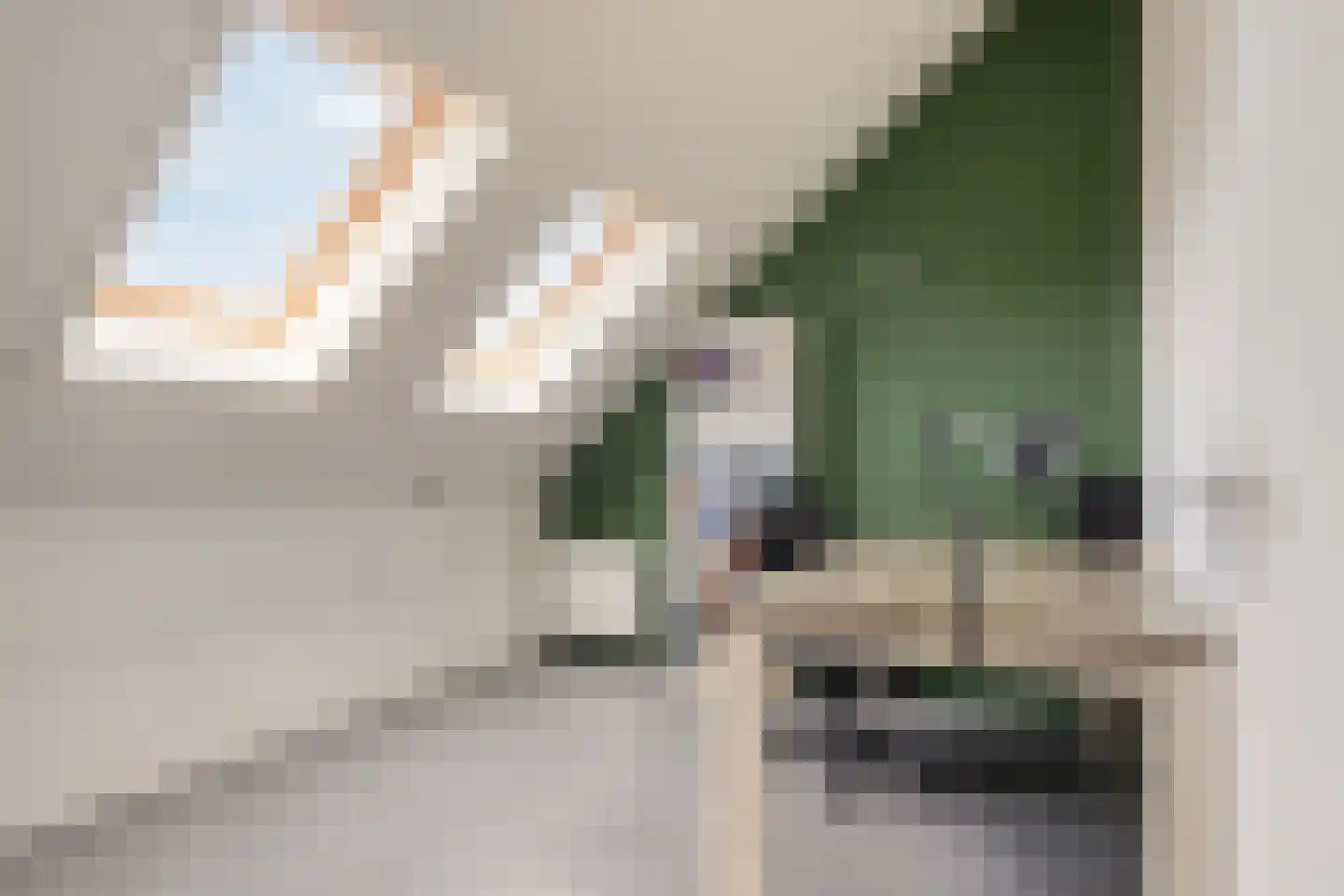 Schaepmanstraat 9 Lunteren thumbnail 32
