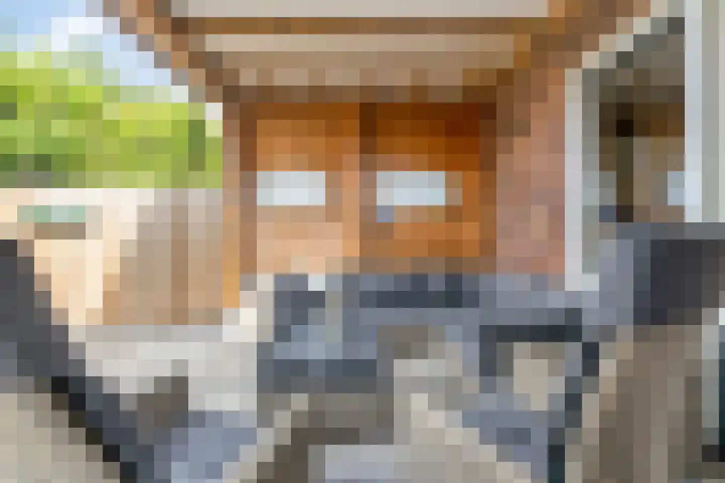 Schaepmanstraat 9 Lunteren thumbnail 33