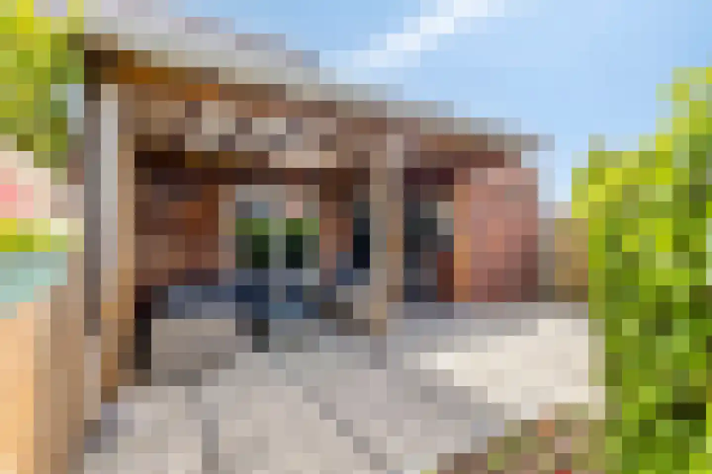 Schaepmanstraat 9 Lunteren thumbnail 35