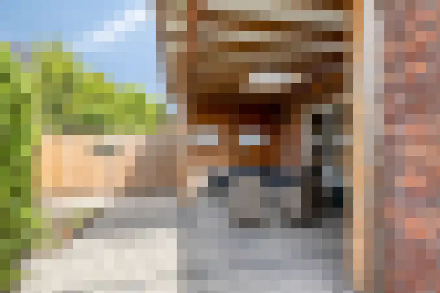 Schaepmanstraat 9 Lunteren thumbnail 36