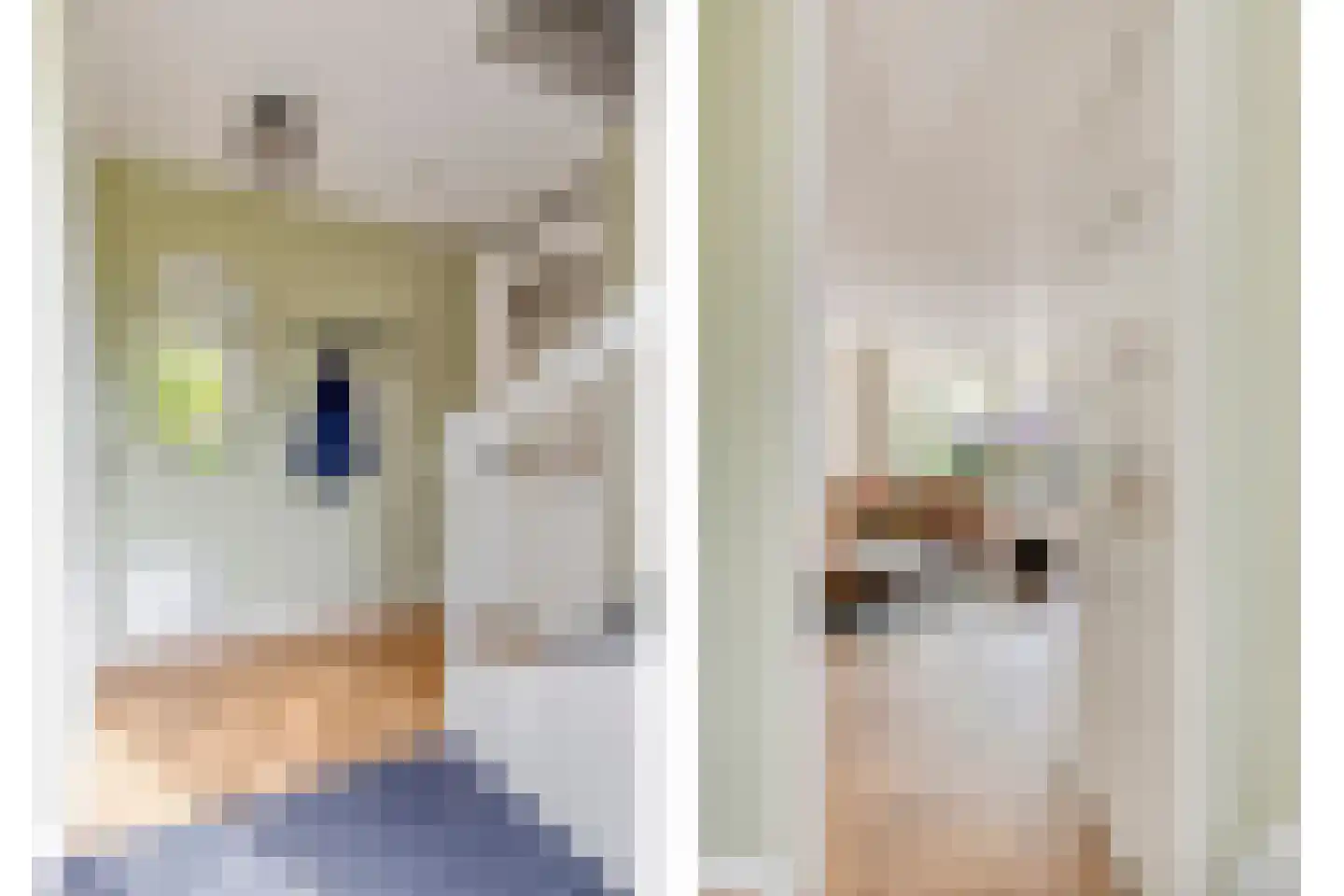 Schaepmanstraat 9 Lunteren thumbnail 5