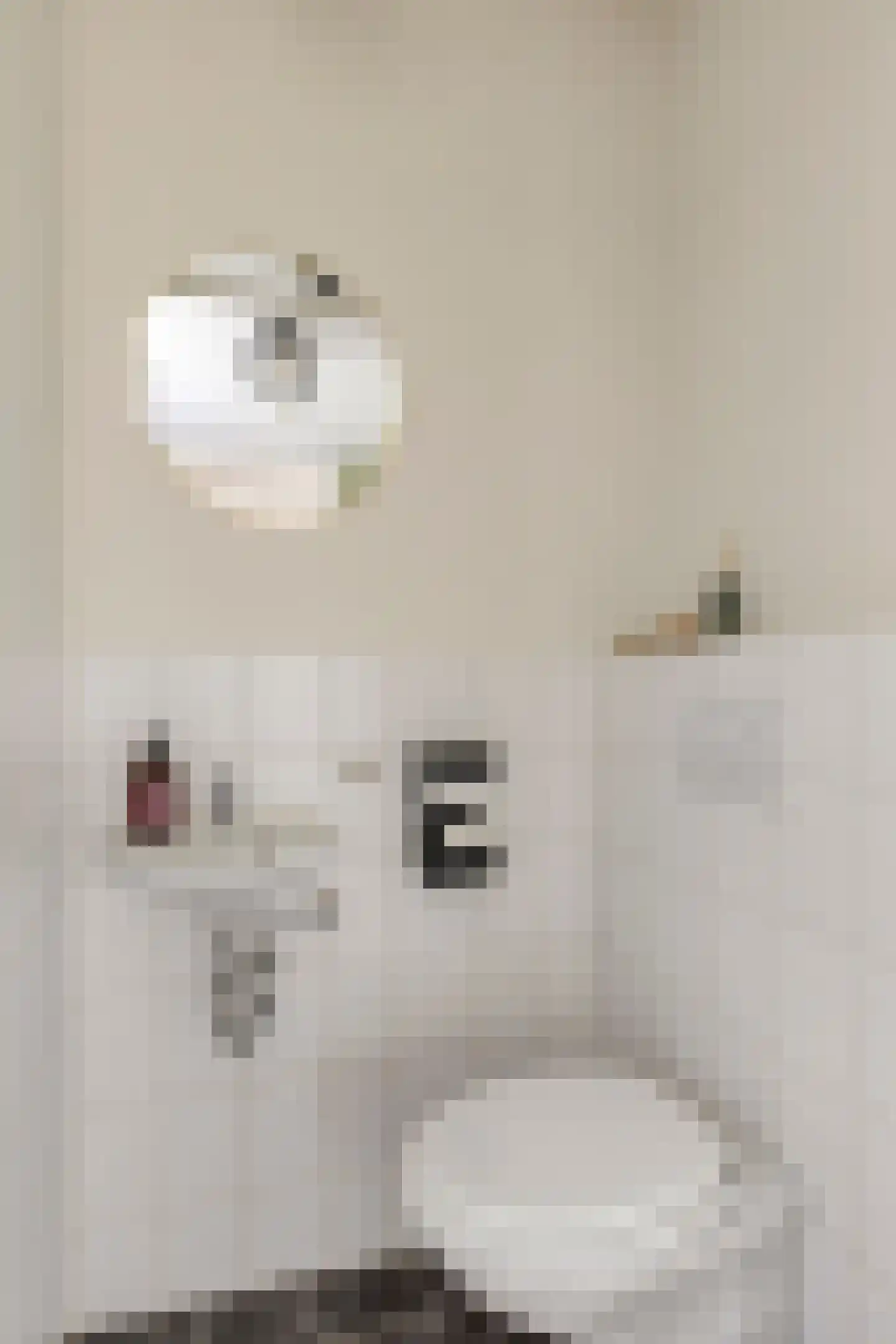 Schaepmanstraat 9 Lunteren thumbnail 6