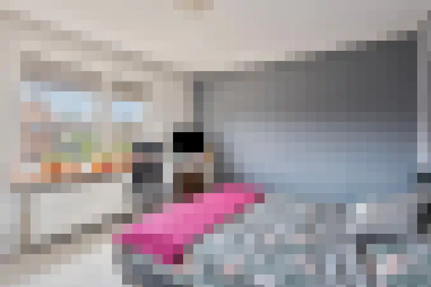 Schaepmanstraat 9 Tegelen thumbnail 13