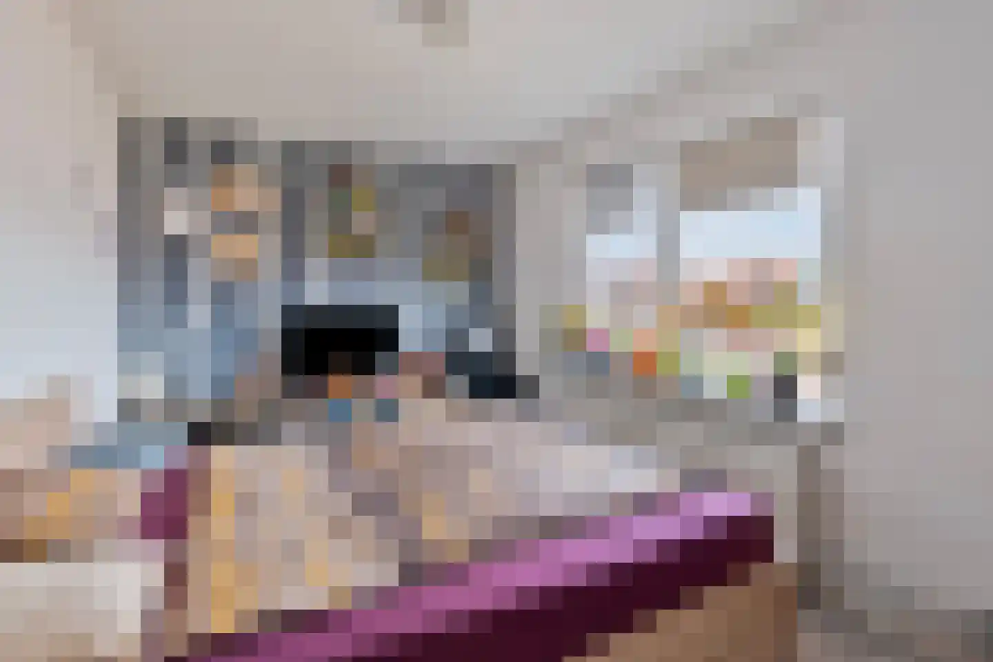 Schaepmanstraat 9 Tegelen thumbnail 17