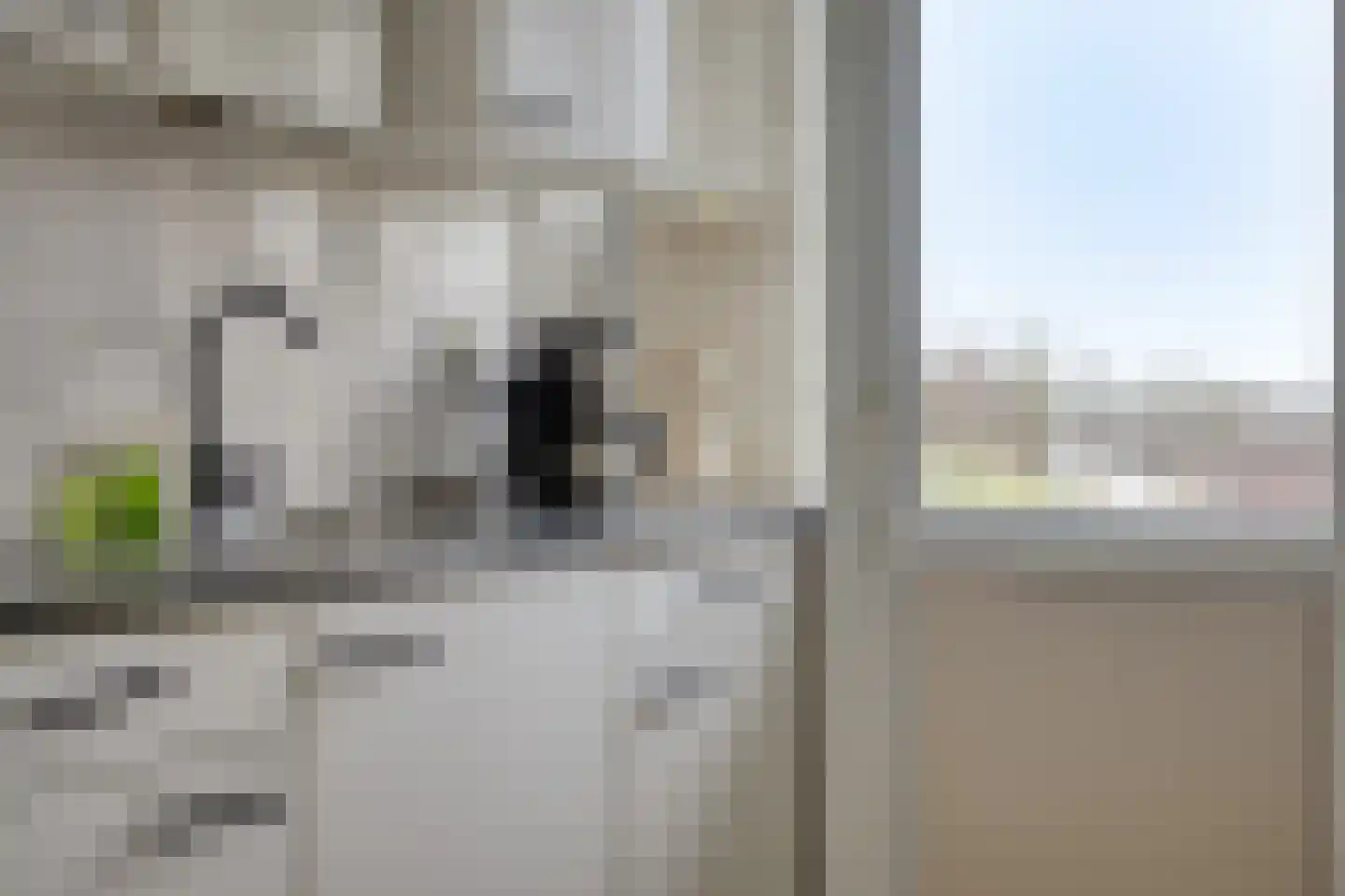 Schaepmanstraat 91 Vlissingen thumbnail 10
