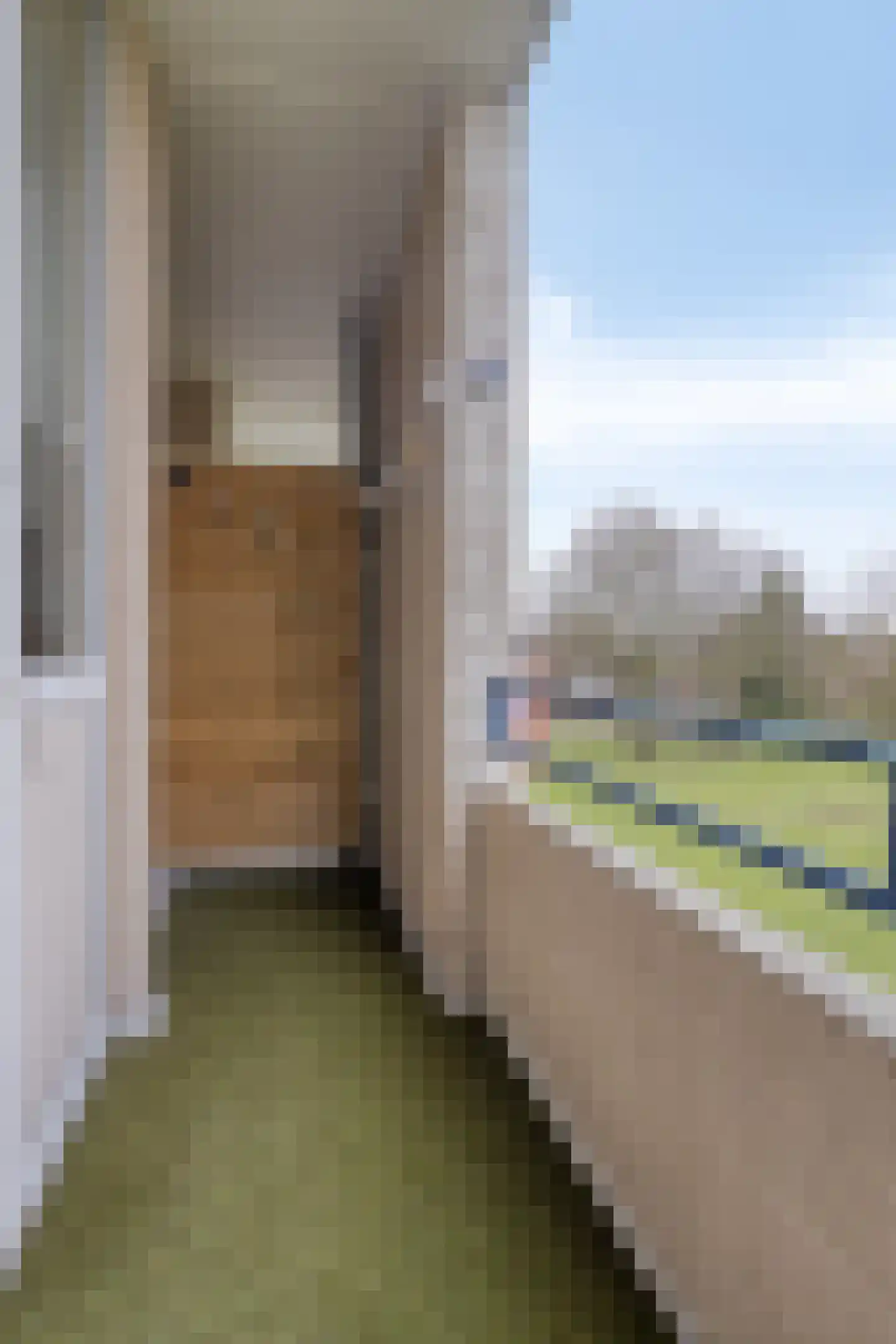 Schaepmanstraat 91 Vlissingen thumbnail 12