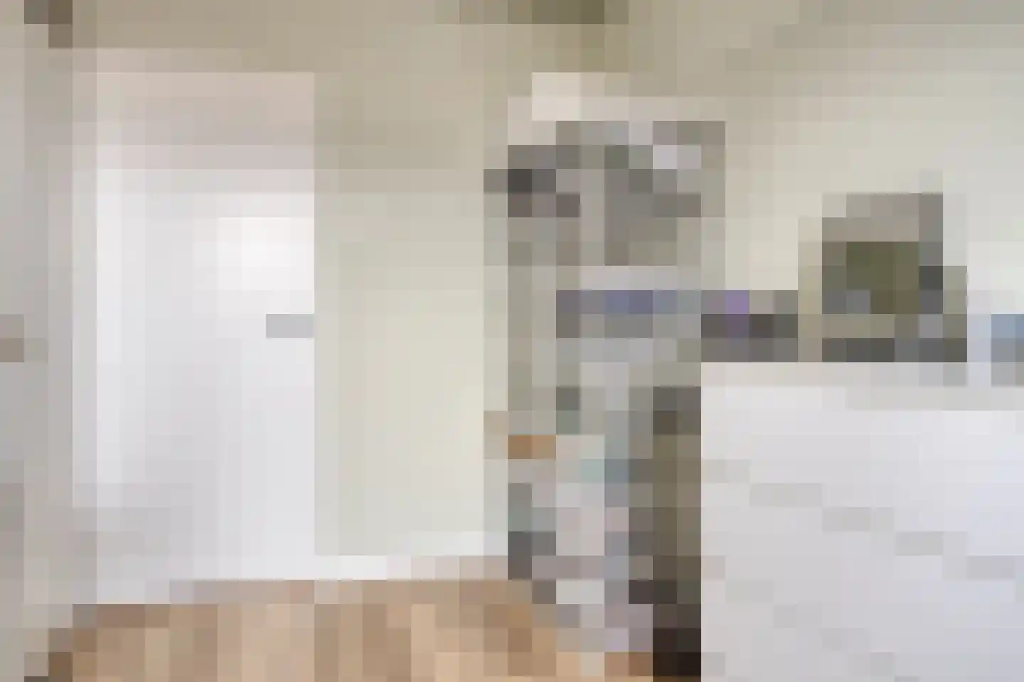 Schaepmanstraat 91 Vlissingen thumbnail 18