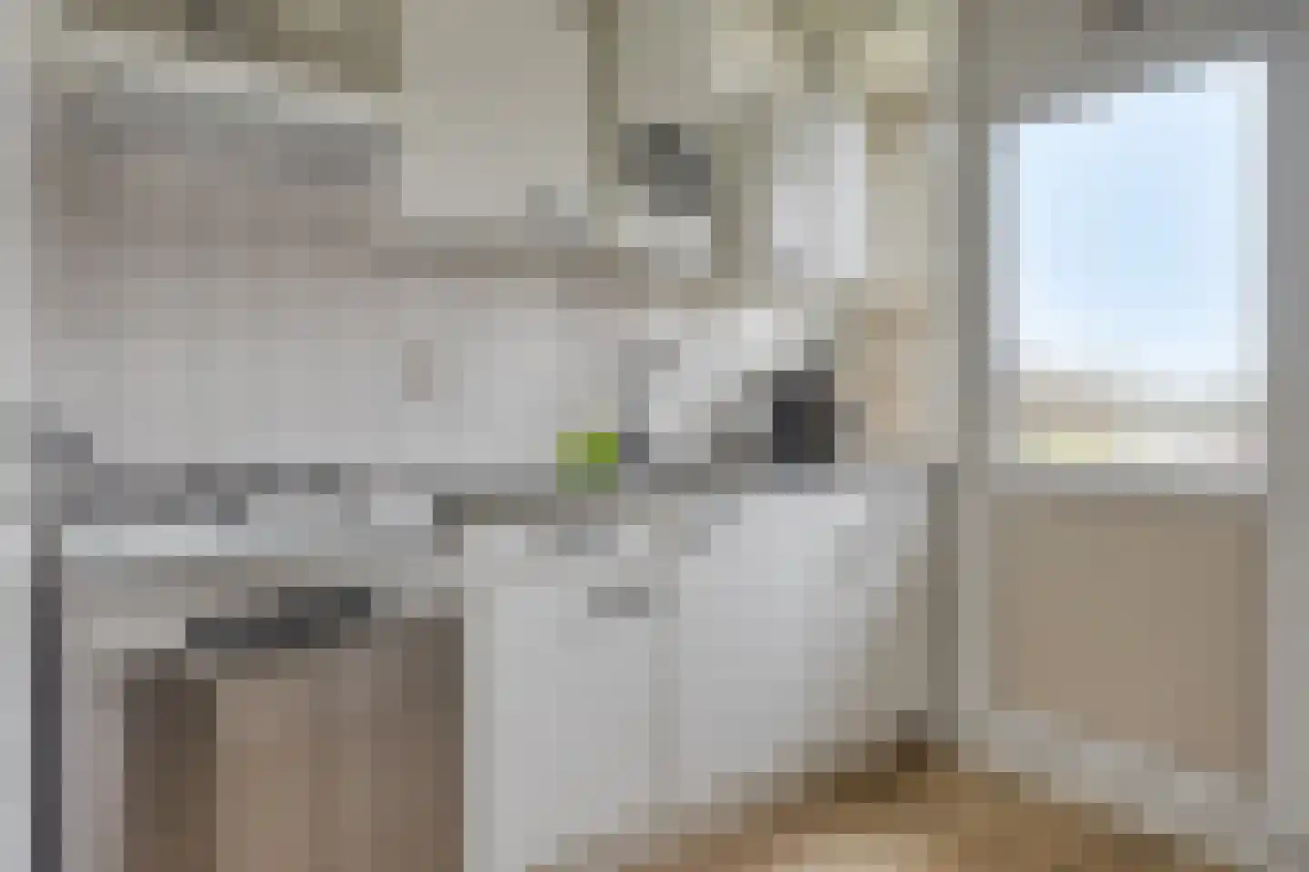 Schaepmanstraat 91 Vlissingen thumbnail 9