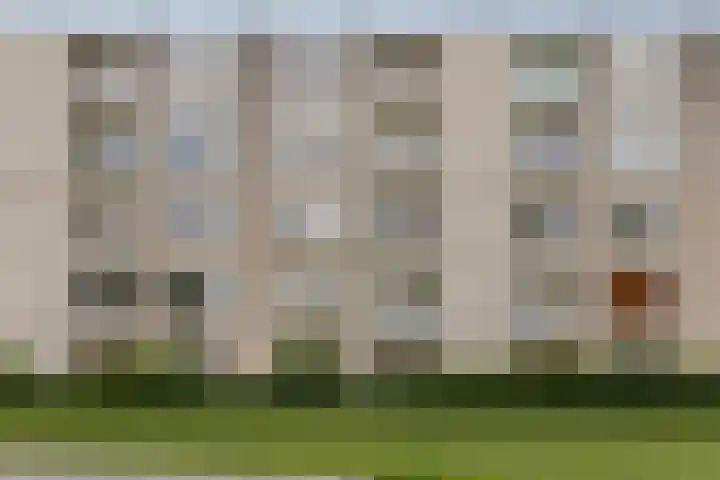 Schaepmanstraat 93 Vlissingen thumbnail 32