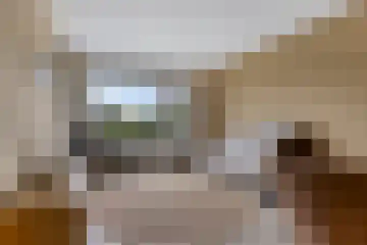 Schaepmanstraat 93 Vlissingen thumbnail 4