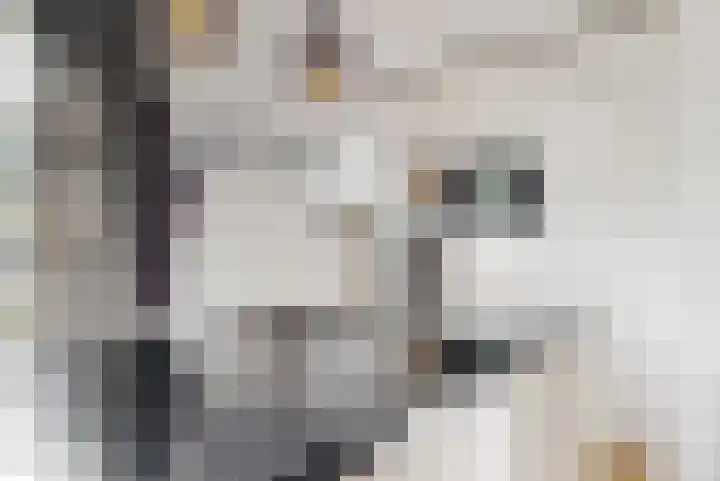 Schaerweijdelaan 113 Zeist thumbnail 12