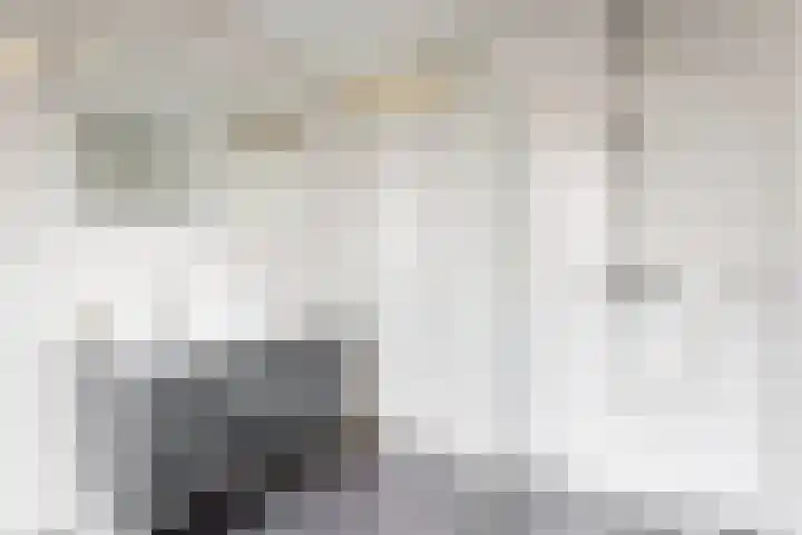 Schaerweijdelaan 113 Zeist thumbnail 18