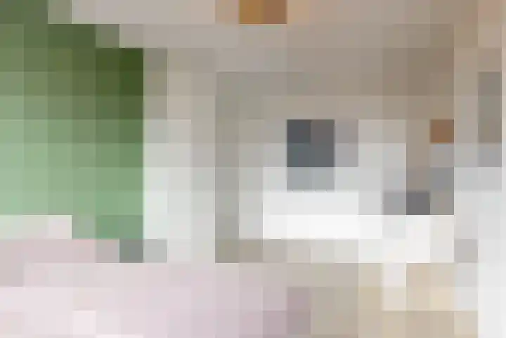 Schaerweijdelaan 113 Zeist thumbnail 22