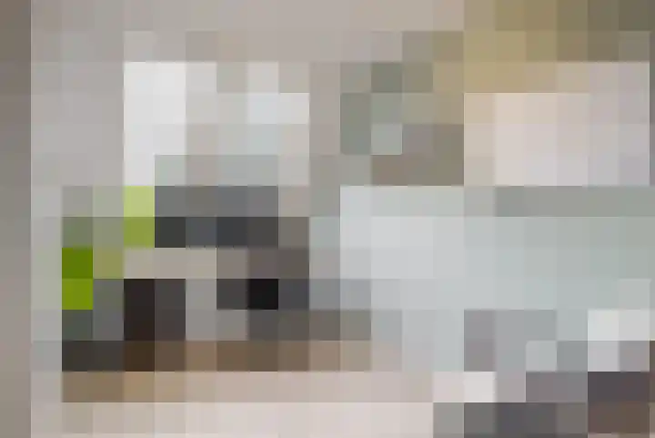 Schaerweijdelaan 113 Zeist thumbnail 23