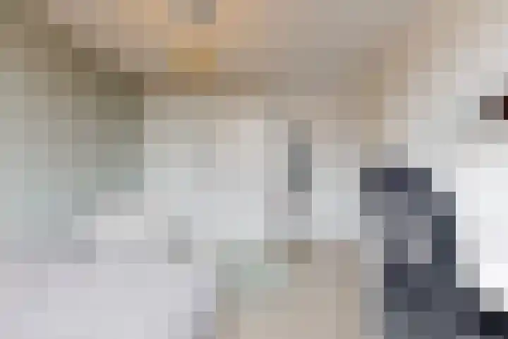 Schaerweijdelaan 113 Zeist thumbnail 25