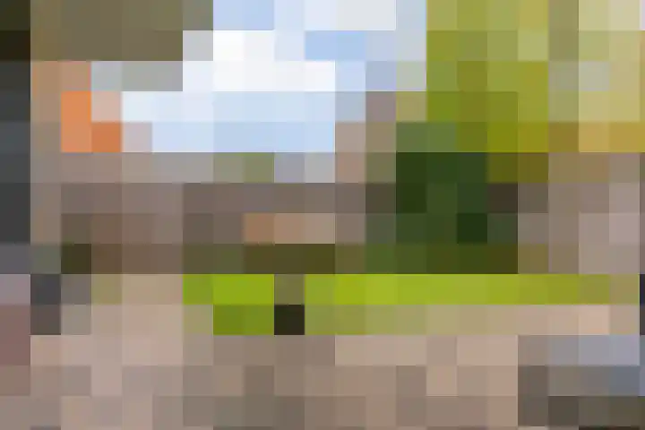 Schaerweijdelaan 113 Zeist thumbnail 30