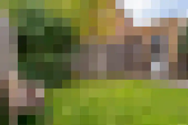 Schaerweijdelaan 113 Zeist thumbnail 31