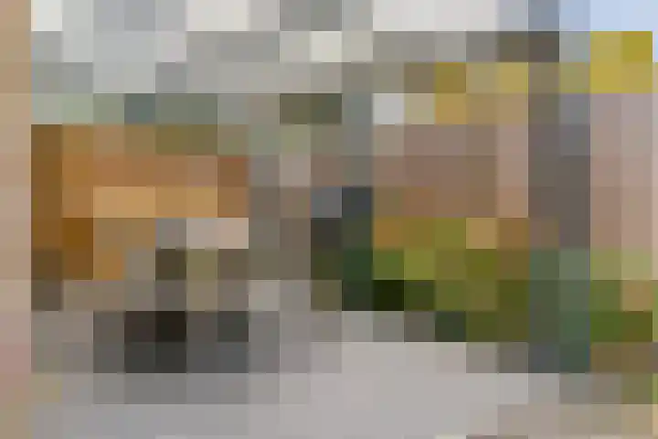 Schaerweijdelaan 113 Zeist thumbnail 35