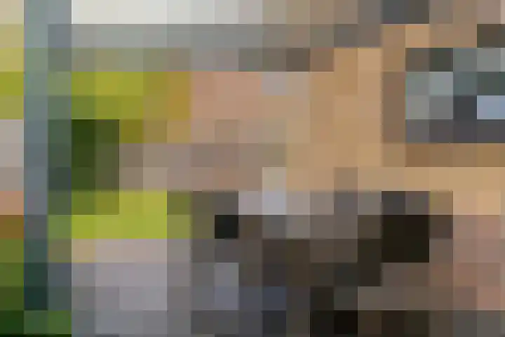 Schaerweijdelaan 113 Zeist thumbnail 36