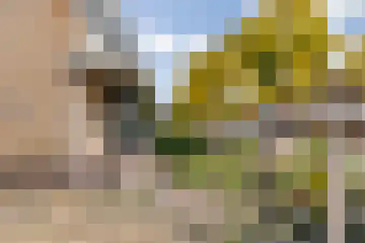 Schaerweijdelaan 113 Zeist thumbnail 40