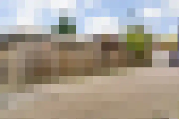 Schaerweijdelaan 113 Zeist thumbnail 42